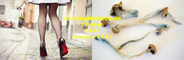 спайс Мегион